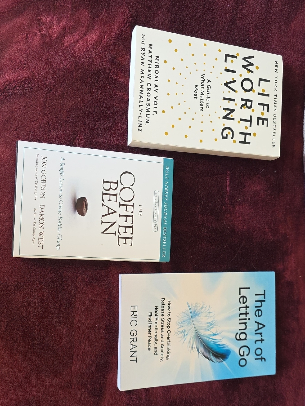 Self-Help Book Bundle - White, Cream, and Light Blue Covers